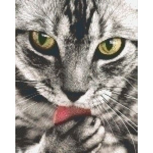 PixelHobby Pixelhobby patroon 5315 Poes PixelHobby Pixelhobby patroon 5315 Poes