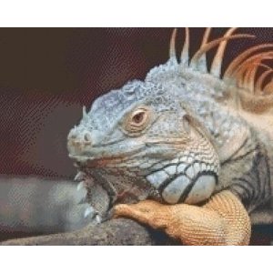 PixelHobby Pixelhobby patroon 5370 Hagedis PixelHobby Pixelhobby patroon 5370 Hagedis