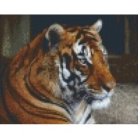 Pixelhobby patroon 5461 Tijger