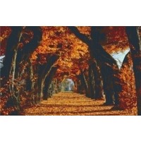 Pixelhobby patroon 5236 Herfst