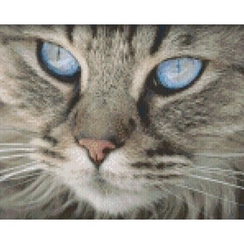 PixelHobby Pixelhobby patroon 5265 Poes PixelHobby Pixelhobby patroon 5265 Poes