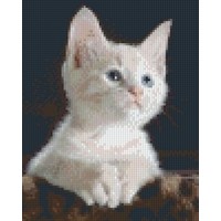 Pixelhobby patroon 5421 Jong Poesje
