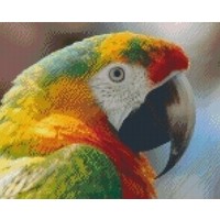 Pixelhobby patroon 5253 Papagaai