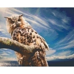 PixelHobby Pixelhobby patroon 5336 Uil