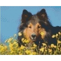 Pixelhobby patroon 5410 Sheltie hond