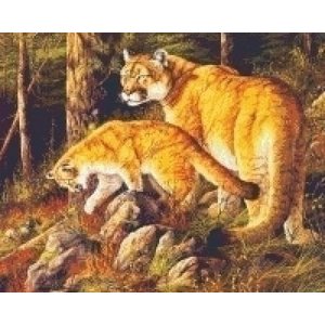 PixelHobby Pixelhobby patroon 5322 Poema met jong PixelHobby Pixelhobby patroon 5322 Poema met jong