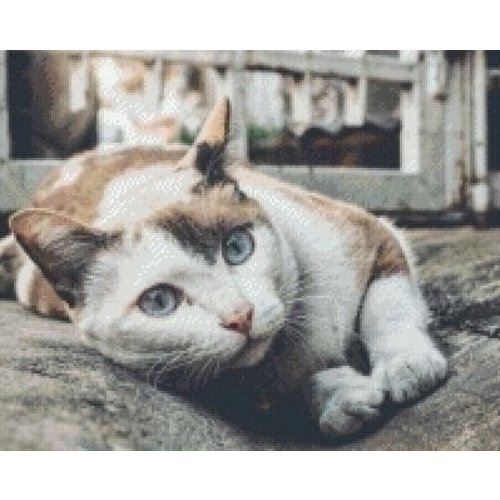 PixelHobby Pixelhobby patroon 5297 Poes PixelHobby Pixelhobby patroon 5297 Poes