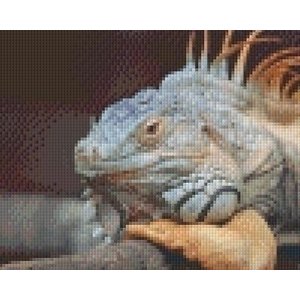 PixelHobby Pixelhobby patroon 5369 Hagedis PixelHobby Pixelhobby patroon 5369 Hagedis