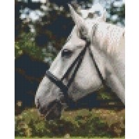 Pixelhobby patroon 5344 Paardenhoofd