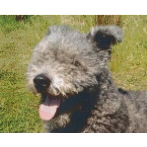 PixelHobby Pixelhobby patroon 5196 Pumi