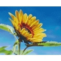 Pixelhobby patroon 5264 Zonnebloem