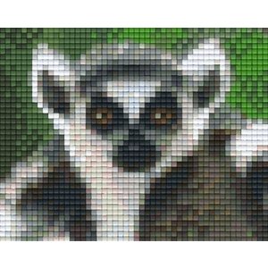 PixelHobby Pixelhobby patroon 801310 Ringstaart PixelHobby Pixelhobby patroon 801310 Ringstaart