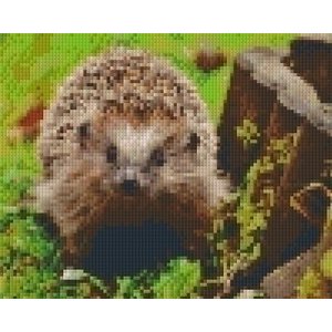 PixelHobby Pixelhobby patroon 5317 Egel