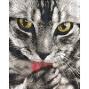 PixelHobby Pixelhobby patroon 5314 Poes