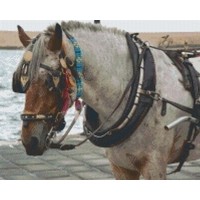 Pixelhobby patroon 5240 Paard