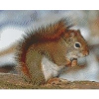 Pixelhobby patroon 5294 Eekhoorn