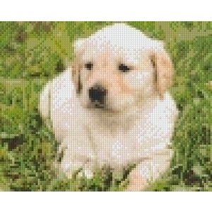 PixelHobby Pixelhobby patroon 5278 Golden retriever pup