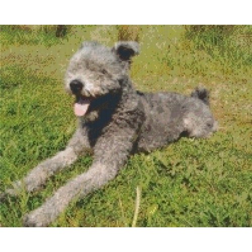 PixelHobby Pixelhobby patroon 5193 Pumi PixelHobby Pixelhobby patroon 5193 Pumi