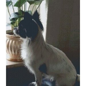 PixelHobby Pixelhobby patroon 5179 Chihuahua