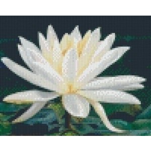 PixelHobby Pixelhobby patroon 5259 Waterlelie