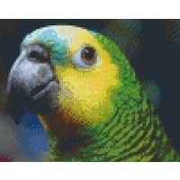 Pixelhobby patroon 5251 papagaai