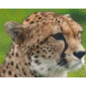 PixelHobby Pixelhobby patroon 5222 Cheetah