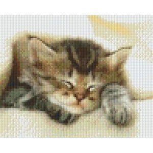 PixelHobby Pixelhobby patroon 5216 Poesje