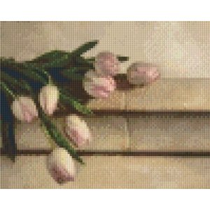 PixelHobby Pixelhobby patroon 5202 Stilleven Tulpen