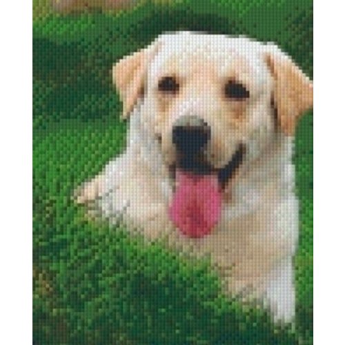 PixelHobby Pixelhobby patroon 5195 Labrador