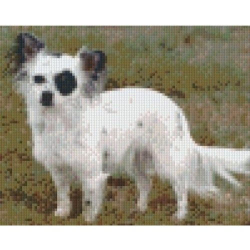 PixelHobby Pixelhobby patroon 5178 Chihuahua PixelHobby Pixelhobby patroon 5178 Chihuahua