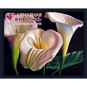 Artibalta Diamond painting kit Beautiful Callas AZ-1361