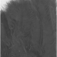 Marabou veren 8,5 - 12,5cm 15 stuks Zwart