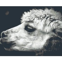 Pixelhobby patroon 5586 Alpaca