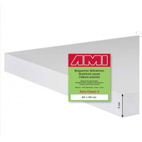 Ami Classic 3 schildersdoeken 3 cm dik