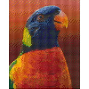 PixelHobby Pixelhobby Patroon 5598 Kleurrijke Vogel PixelHobby Pixelhobby Patroon 5598 Kleurrijke Vogel
