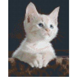 PixelHobby Pixelhobby Patroon 5601 Kitten