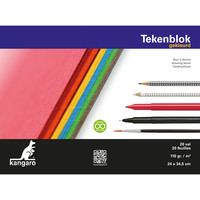 tekenblok Kangaro A4+ (24x34,5cm) 110 gram 20 vel assorti