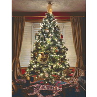 Pixelhobby patroon 5607 Kerstboom