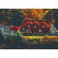 Pixelhobby Patroon 5608 Englisch Cottage