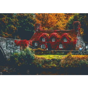 PixelHobby Pixelhobby Patroon 5608 Englisch Cottage