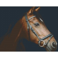 Pixelhobby Patroon 5612 Paardenhoofd