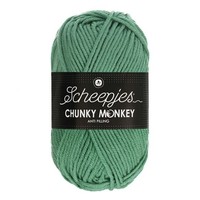 Scheepjes Chunky Monkey 100 gram 1725 Eucalyptus