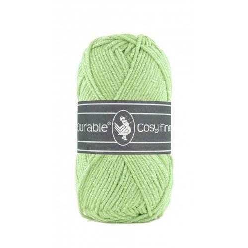 Durable Durable Cosy Fine 50 gram  Light green 2158