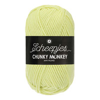 Scheepjes Chunky Monkey 100 gram 1020 Mint