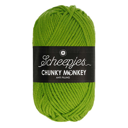 Scheepjeswol Scheepjes Chunky Monkey 100 gram 2016 Fern