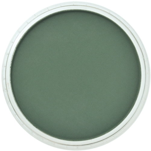 PanPastel PanPastel Pastelnap Permanent Green Extra Dark 9 ml