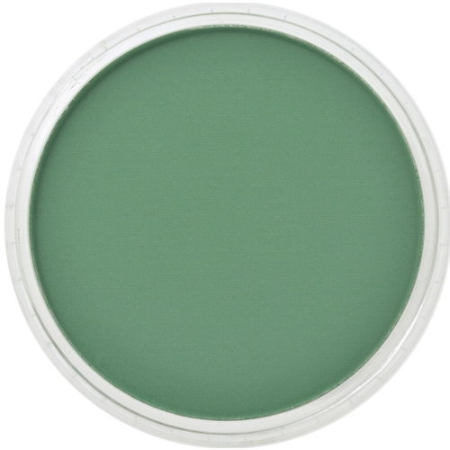 PanPastel PanPastel Pastelnap Permanent Green Shade 9 ml