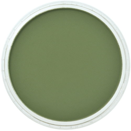 PanPastel PanPastel Pastelnap Chromium Oxide Green Shade 9 ml