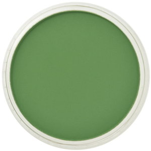 PanPastel PanPastel Pastelnap Chromium Oxide Green 9 ml