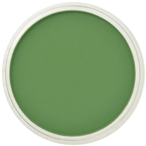 PanPastel PanPastel Pastelnap Chromium Oxide Green 9 ml